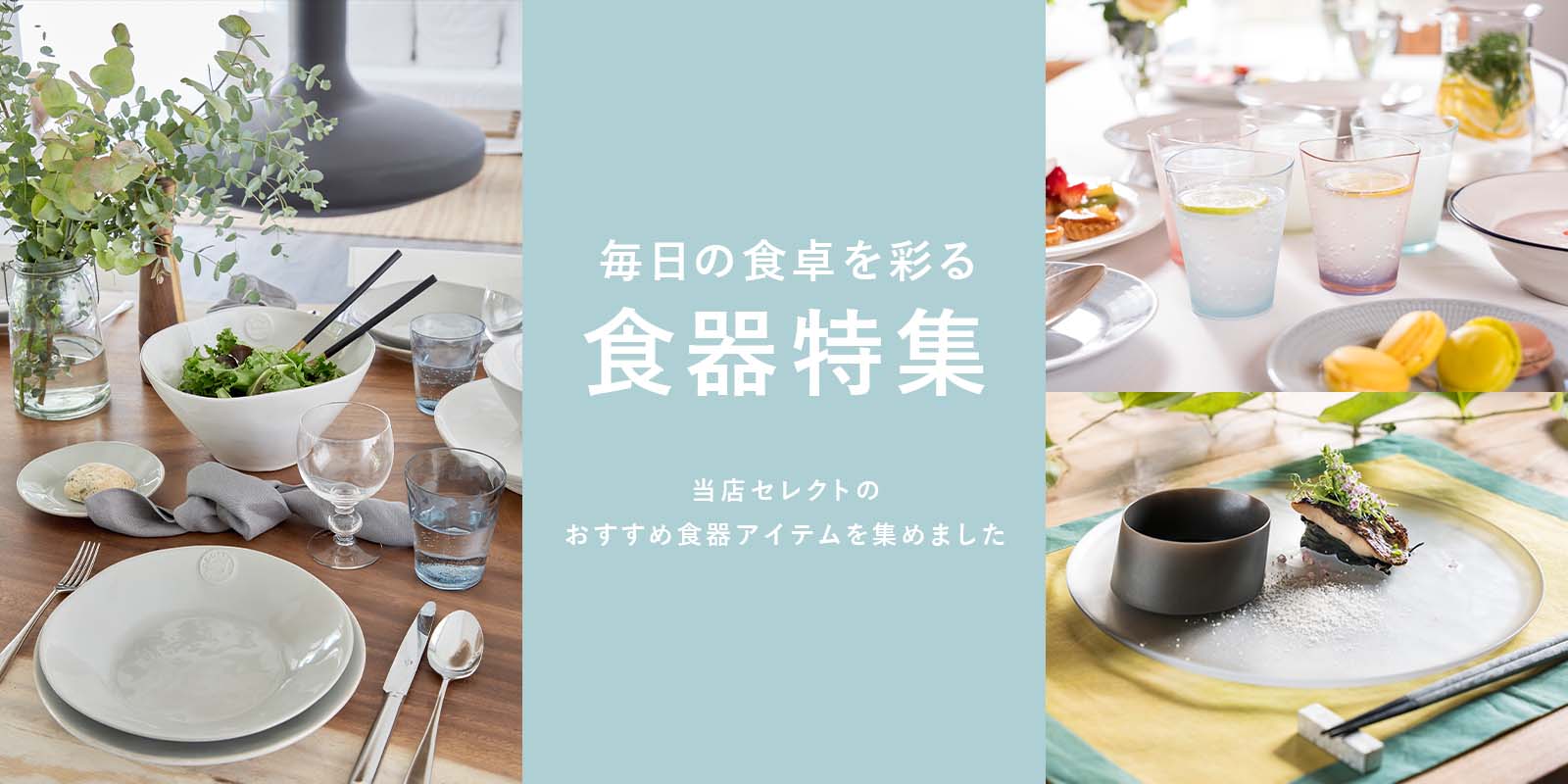食器特集
